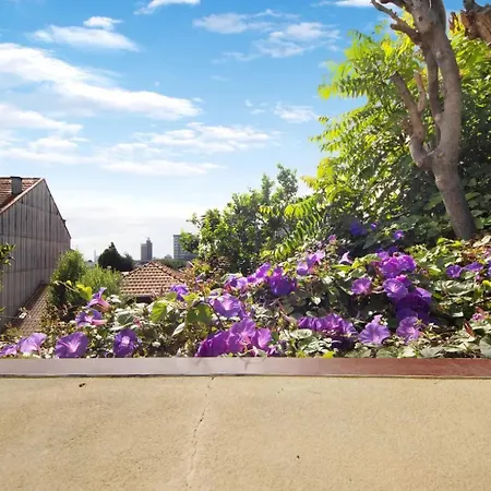 - - 5 Apartment Porto