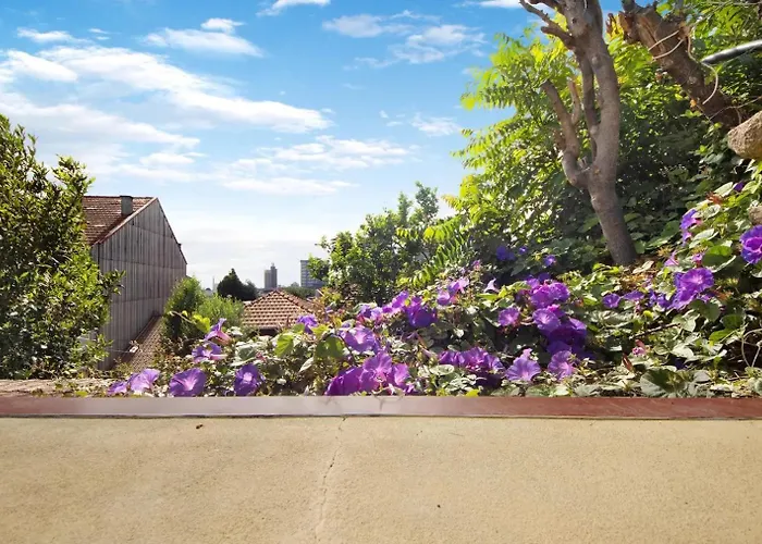 - - 5 شقة بورتو